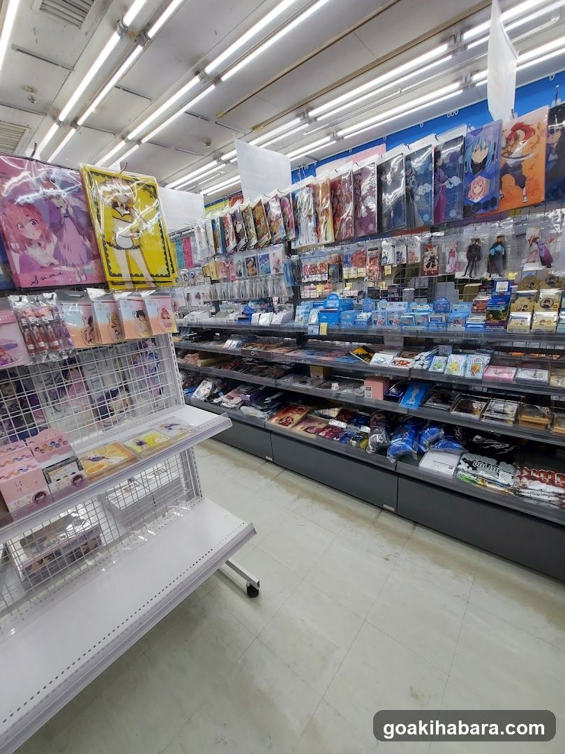 Anime Merchandise Store Interior