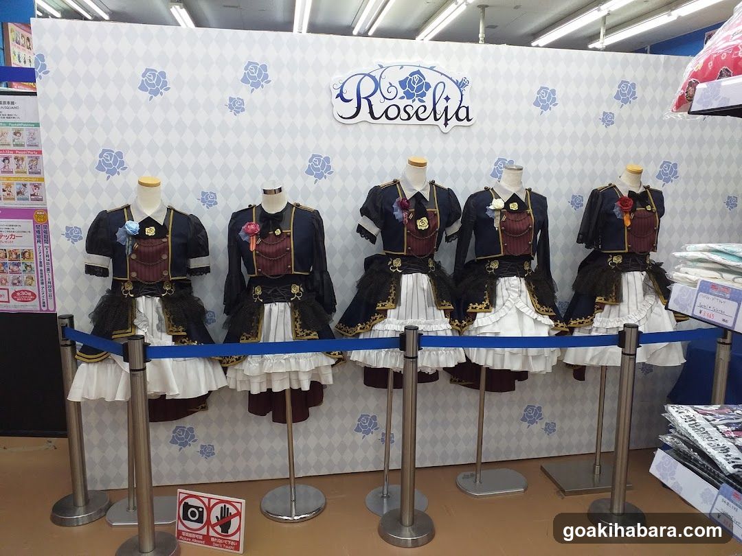 Roselia Cosplay Outfit Display