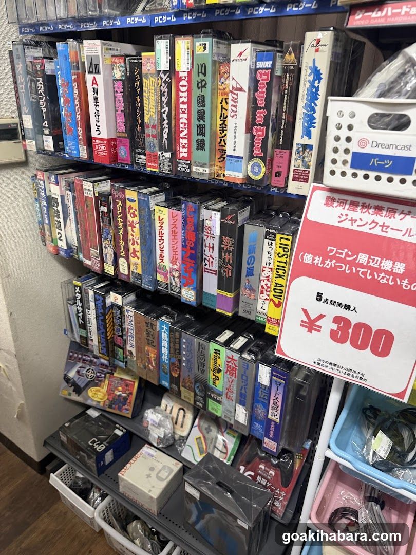 Video Game Console and Accessories Display