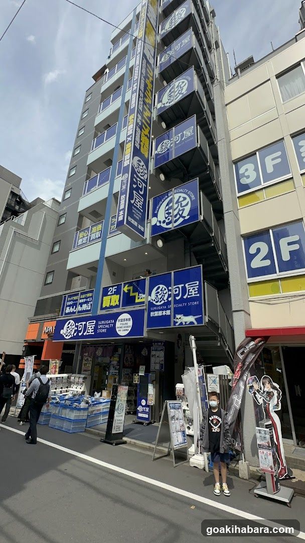 SURUGA-YA Akihabara Store, Game Store