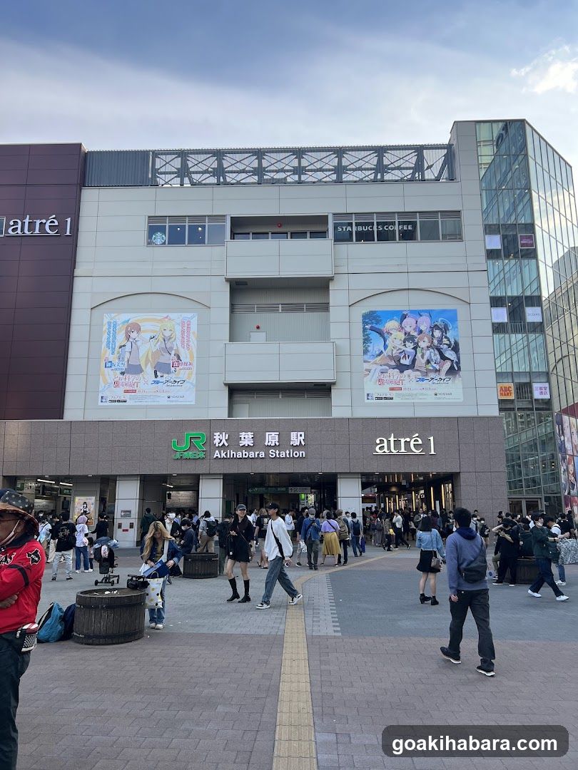 Akihabara Station Entrance