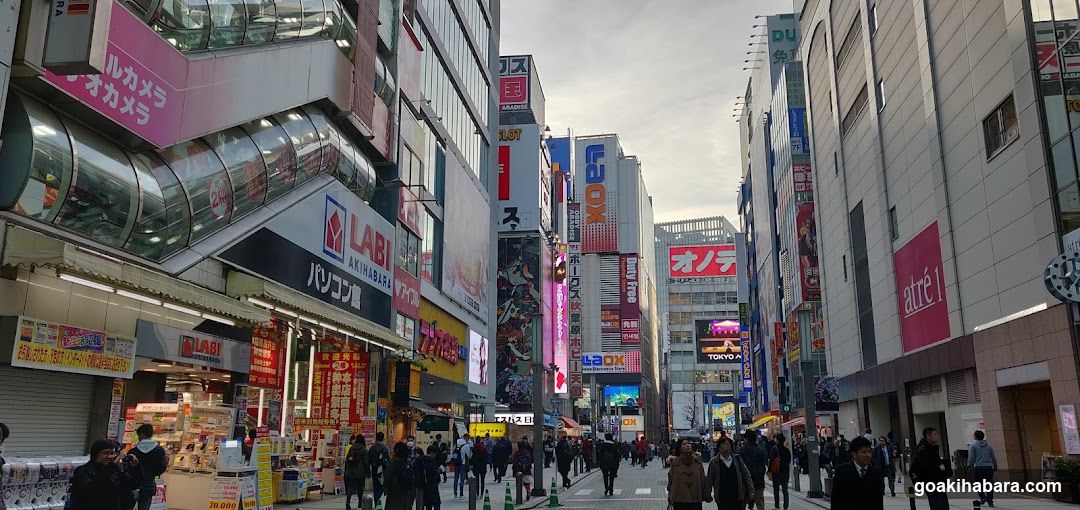 Akihabara Street Scene