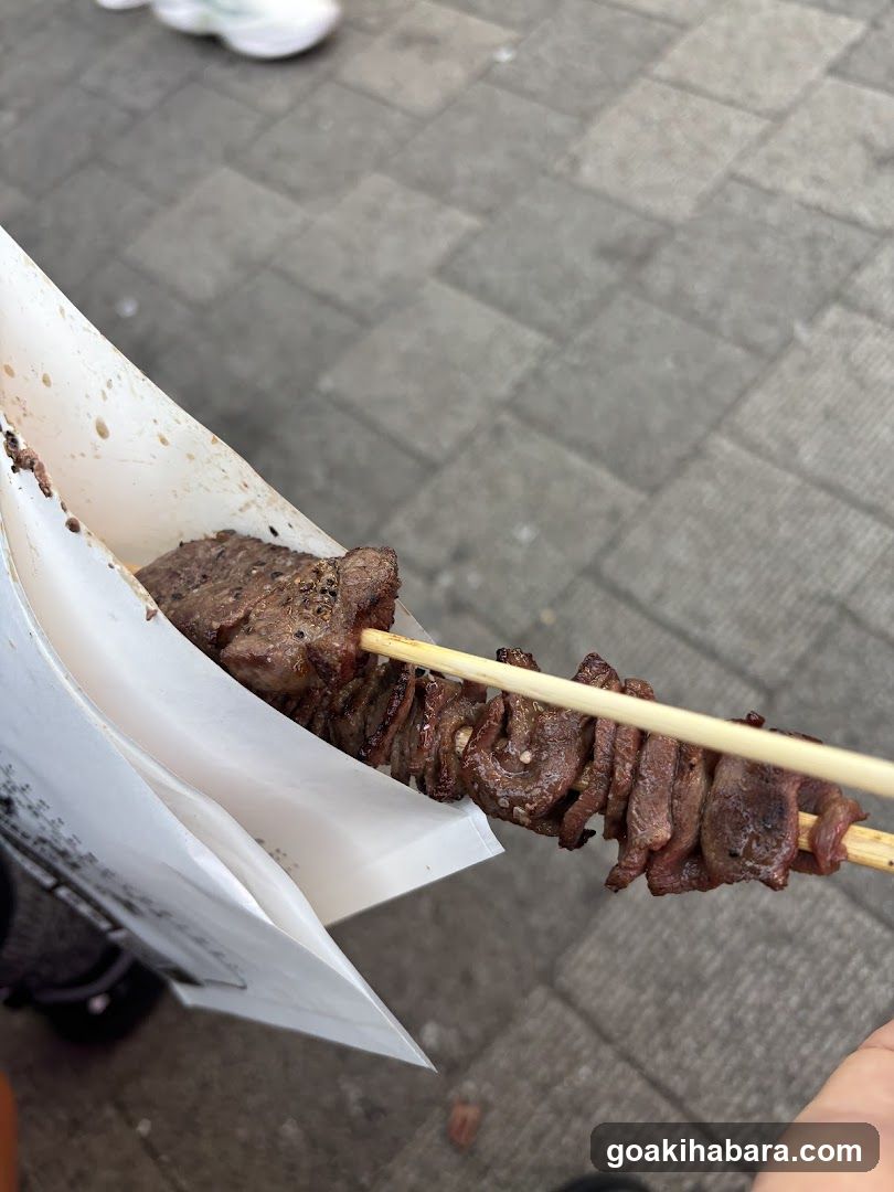 Grilled Meat Skewer