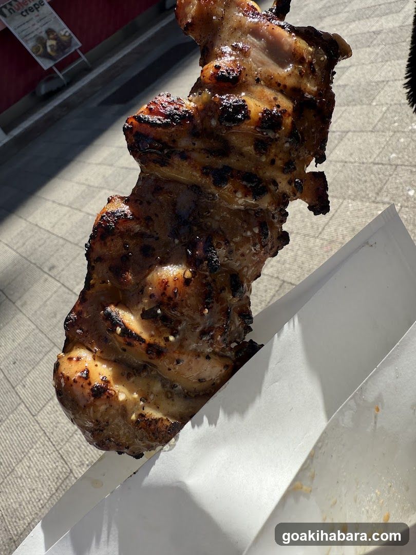 Grilled Meat Skewer