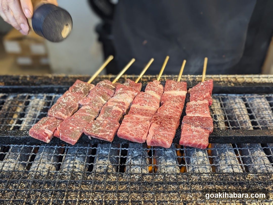 Grilled Beef Skewers on Charcoal Grill