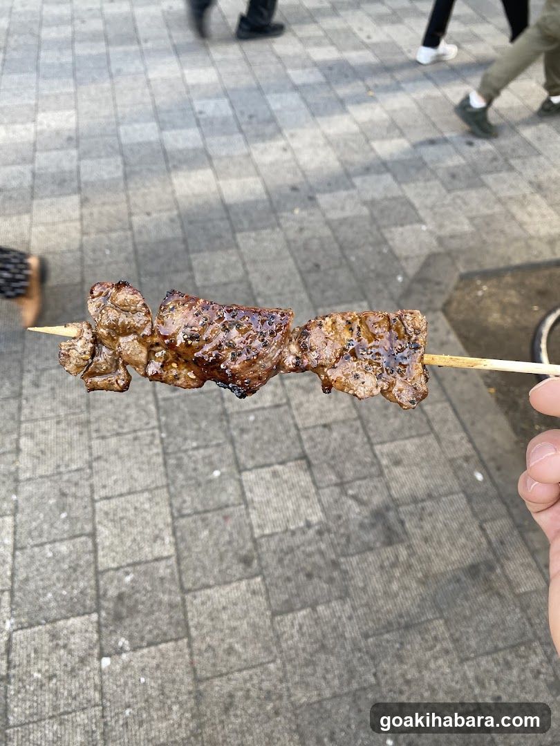 Grilled Meat Skewer