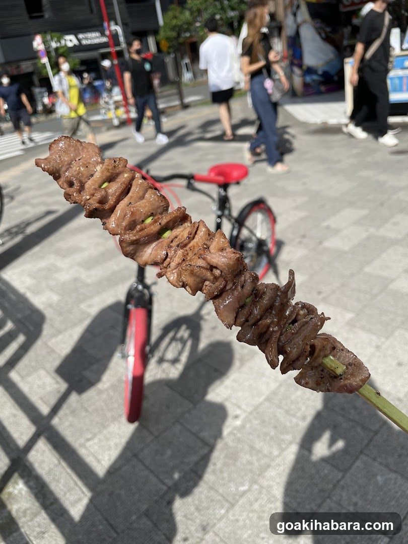 Grilled Meat Skewer on Street