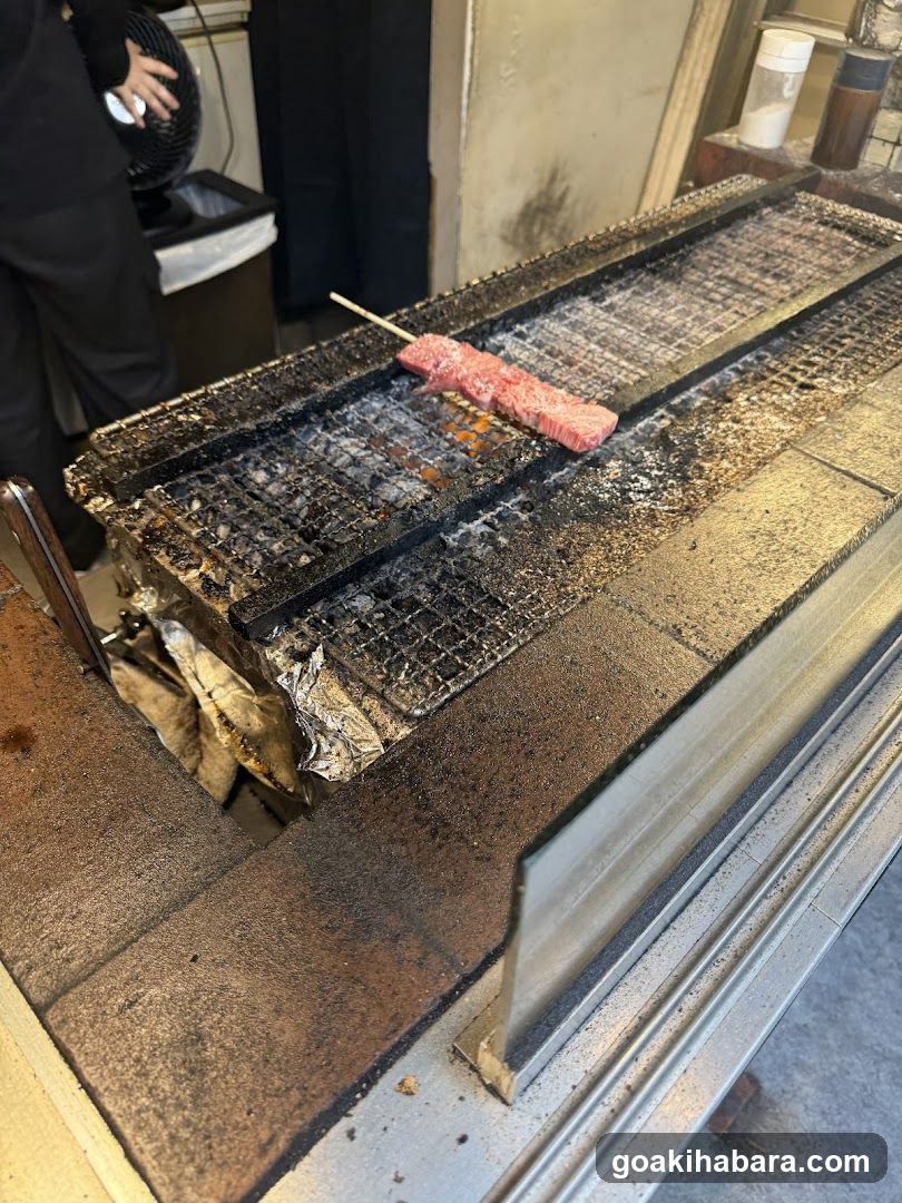 Grilled Skewer on Charcoal Grill