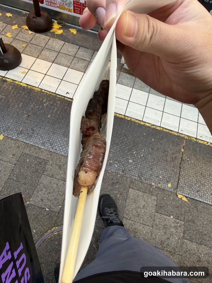 Grilled Meat Skewer in Paper Wrapper