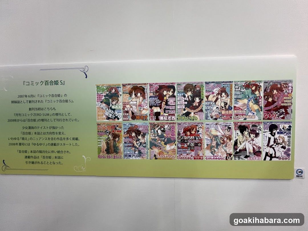 Comic Bessatsu Magazine History Display