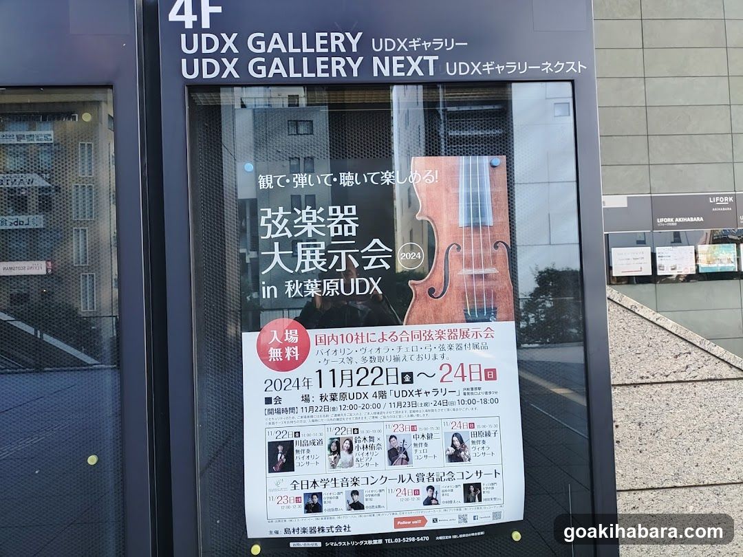 String Instrument Exhibition Poster