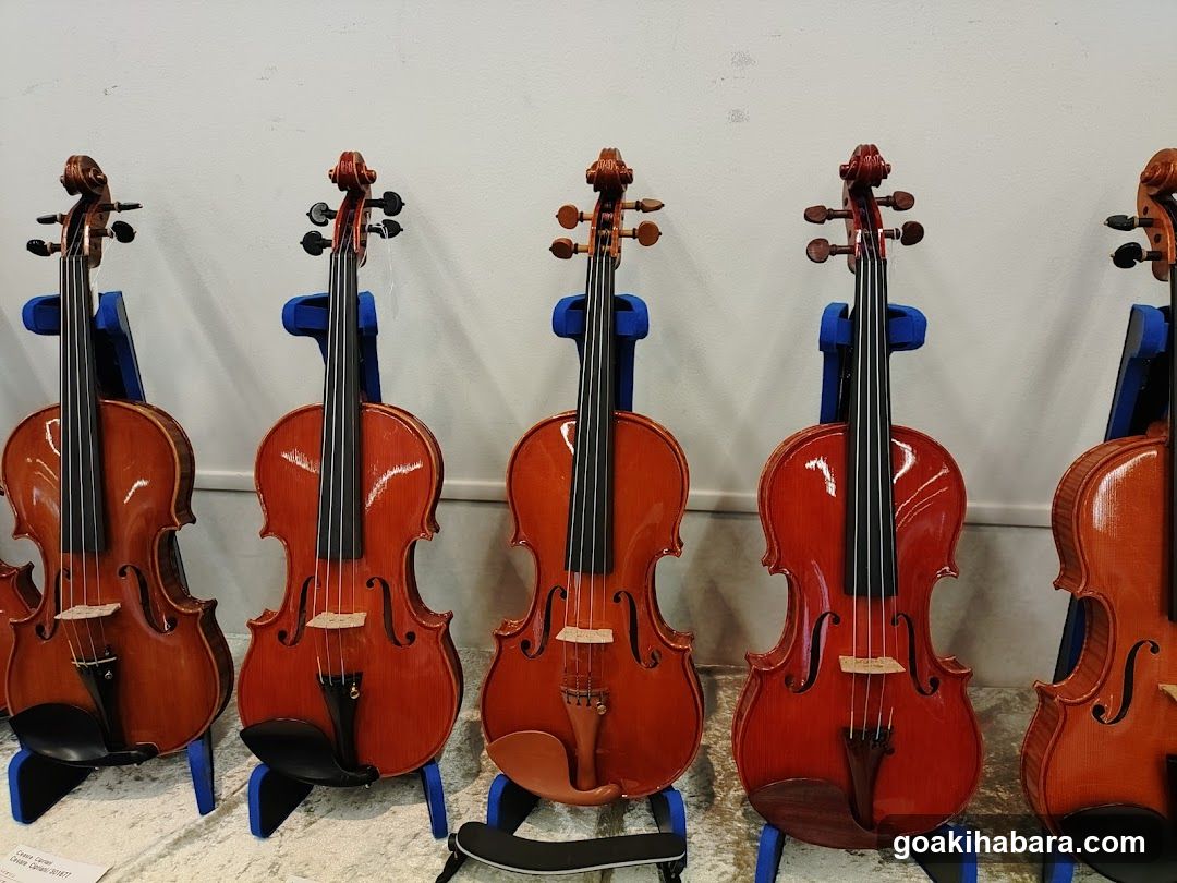 Violins on display