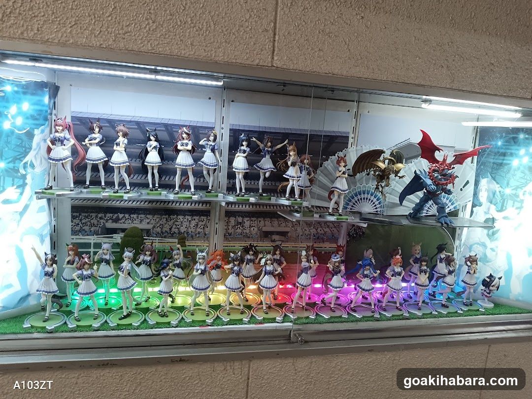 Anime Figure Display Case
