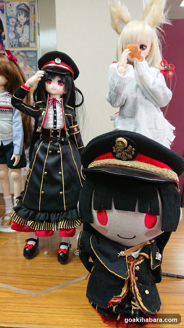 Doll Collection Display