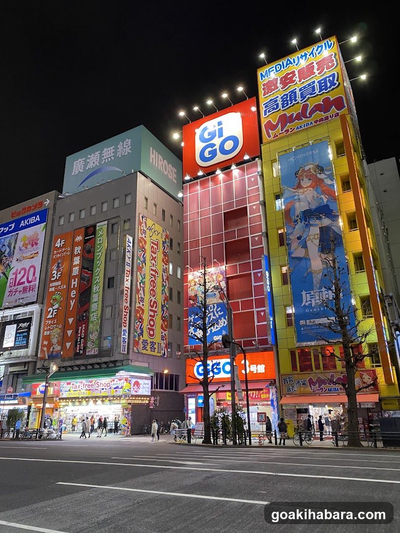 Akiba Street at Night