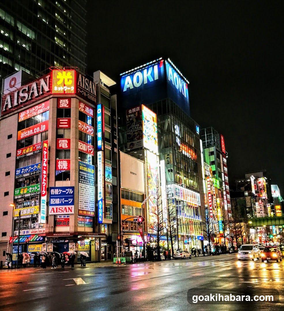 Akihabara Night Scene