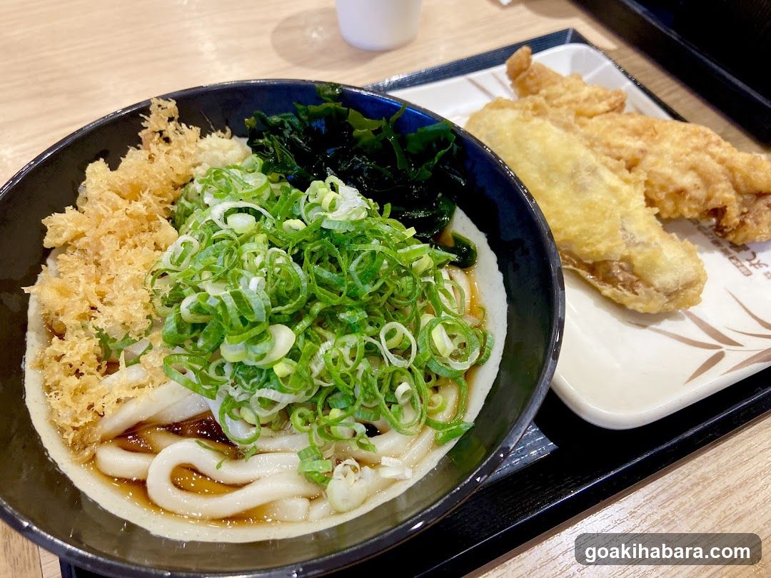 Udon with Tempura Side Dish