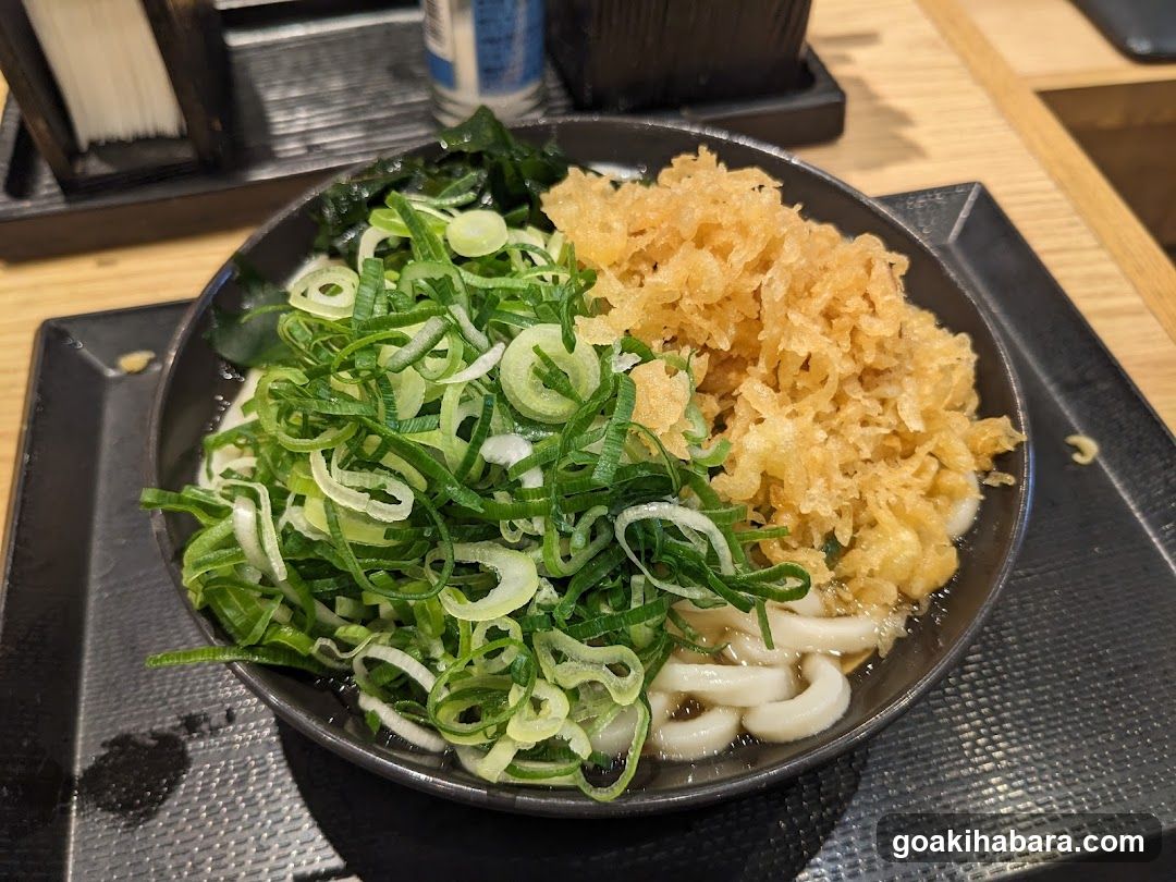 Udon Noodle Bowl with Toppings