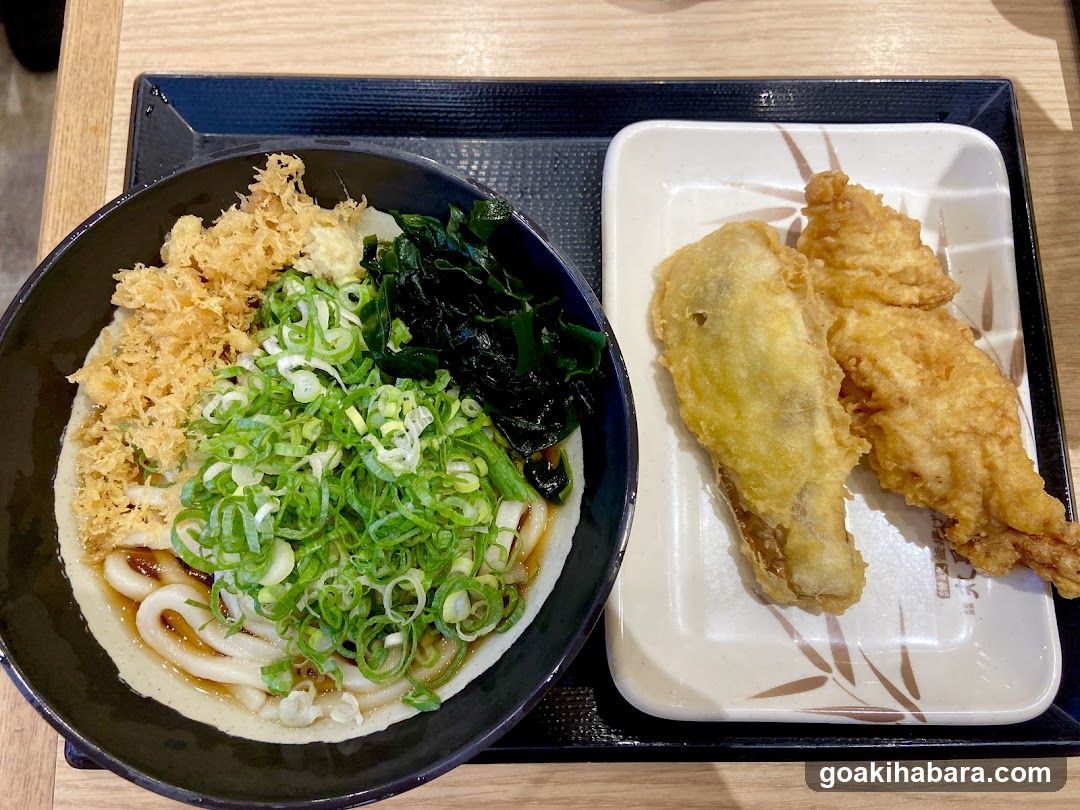 Udon Meal with Tempura