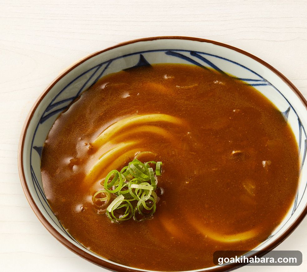 Bowl of Curry Rice