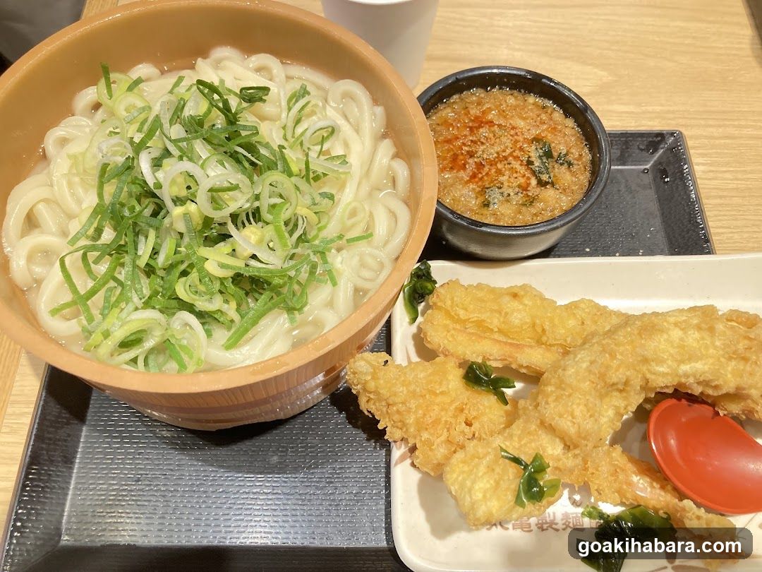Udon Meal with Tempura