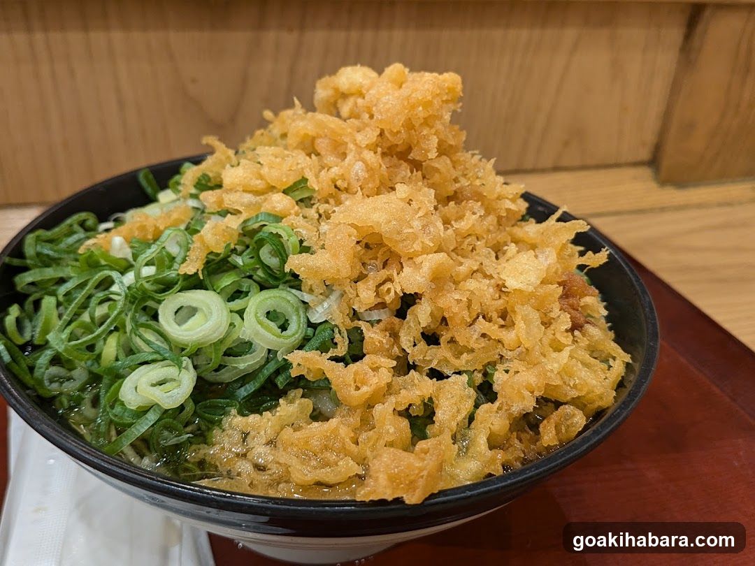 Bowl of Noodles with Scallions and Tempura