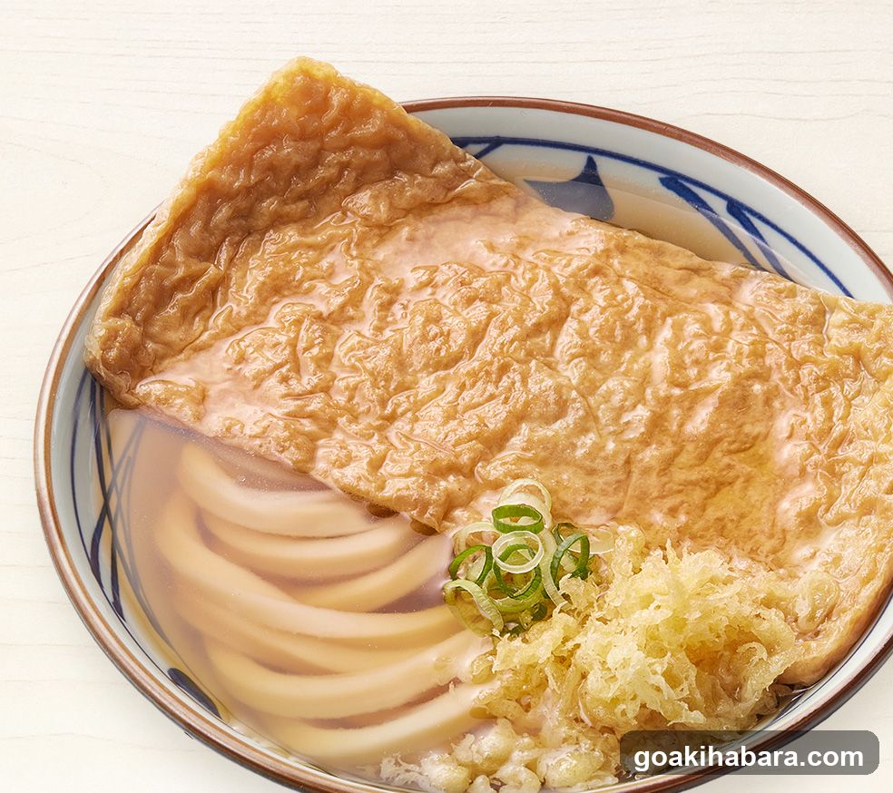 Udon Noodle Bowl with Tofu and Scallions