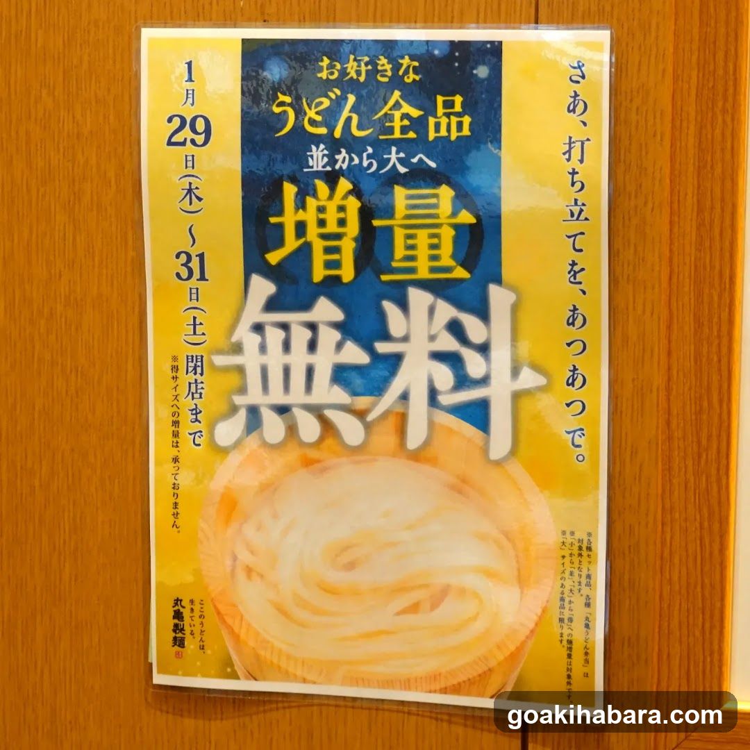 Udon Promotion Poster
