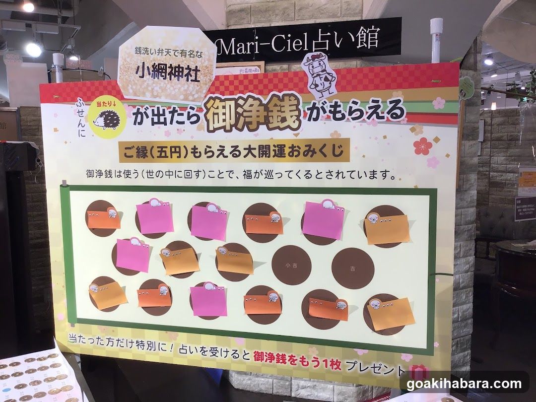 Mari-Ciel Fortune Telling Shop Display