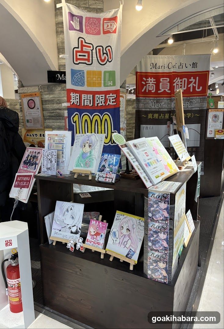 Anime Merchandise Display