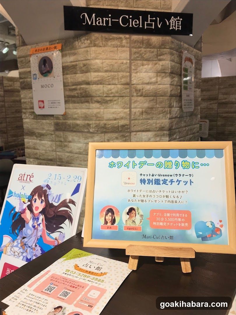 Mari-Ciel Fortune Telling Shop Interior Display