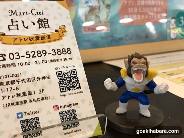 Mari-Ciel Fortune Telling Shop Sign and Figure