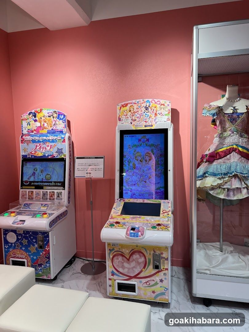 Arcade and Costume Display