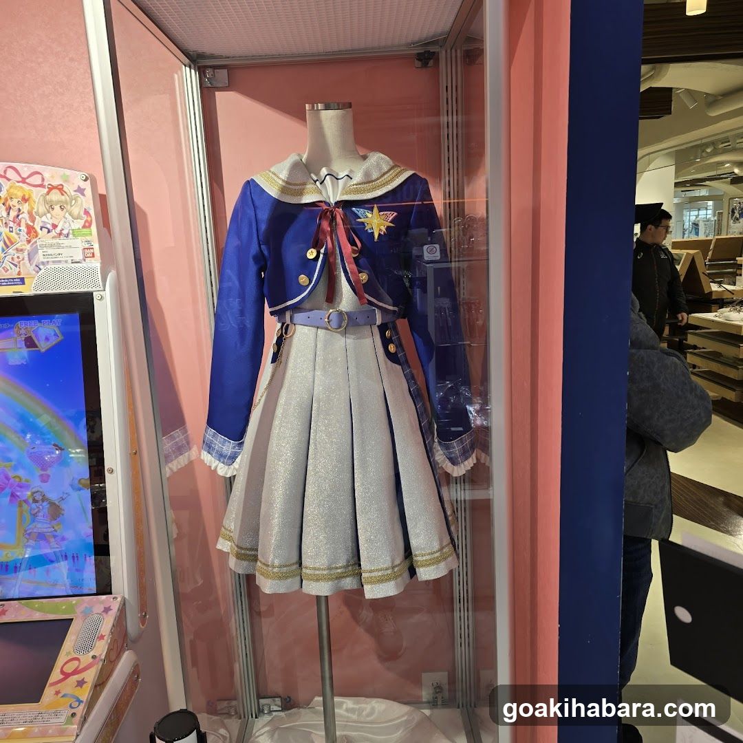 Anime Costume Display