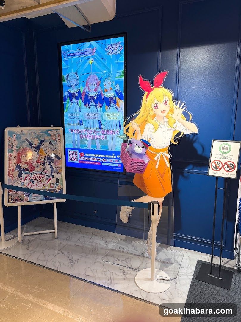 Anime Character Display and Poster