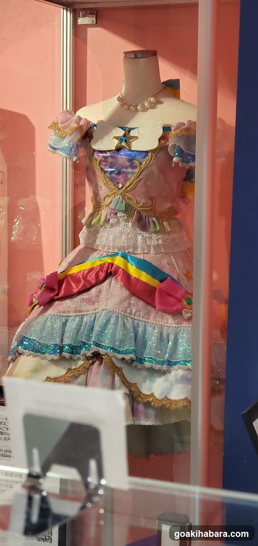Fashion Display Case