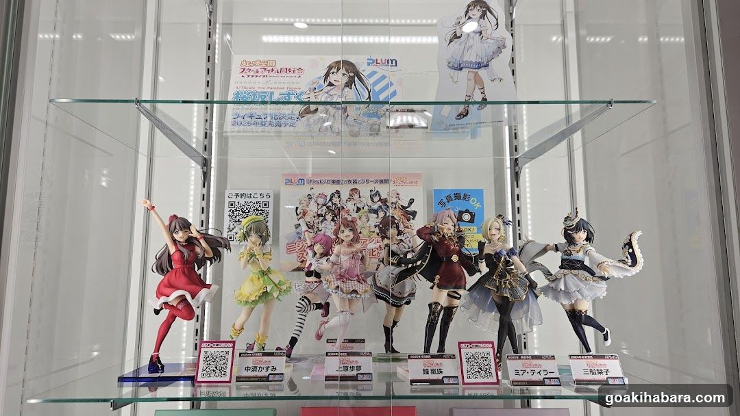 Amane Showroom Display Case