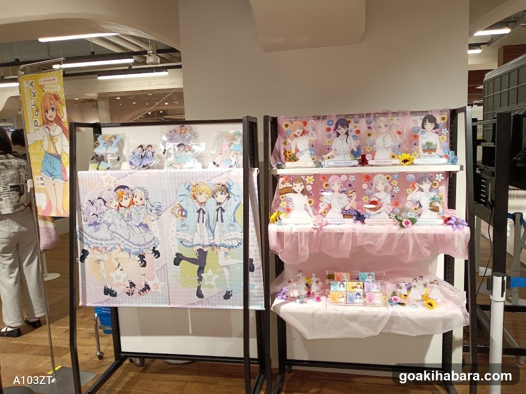 Anime Merchandise Display