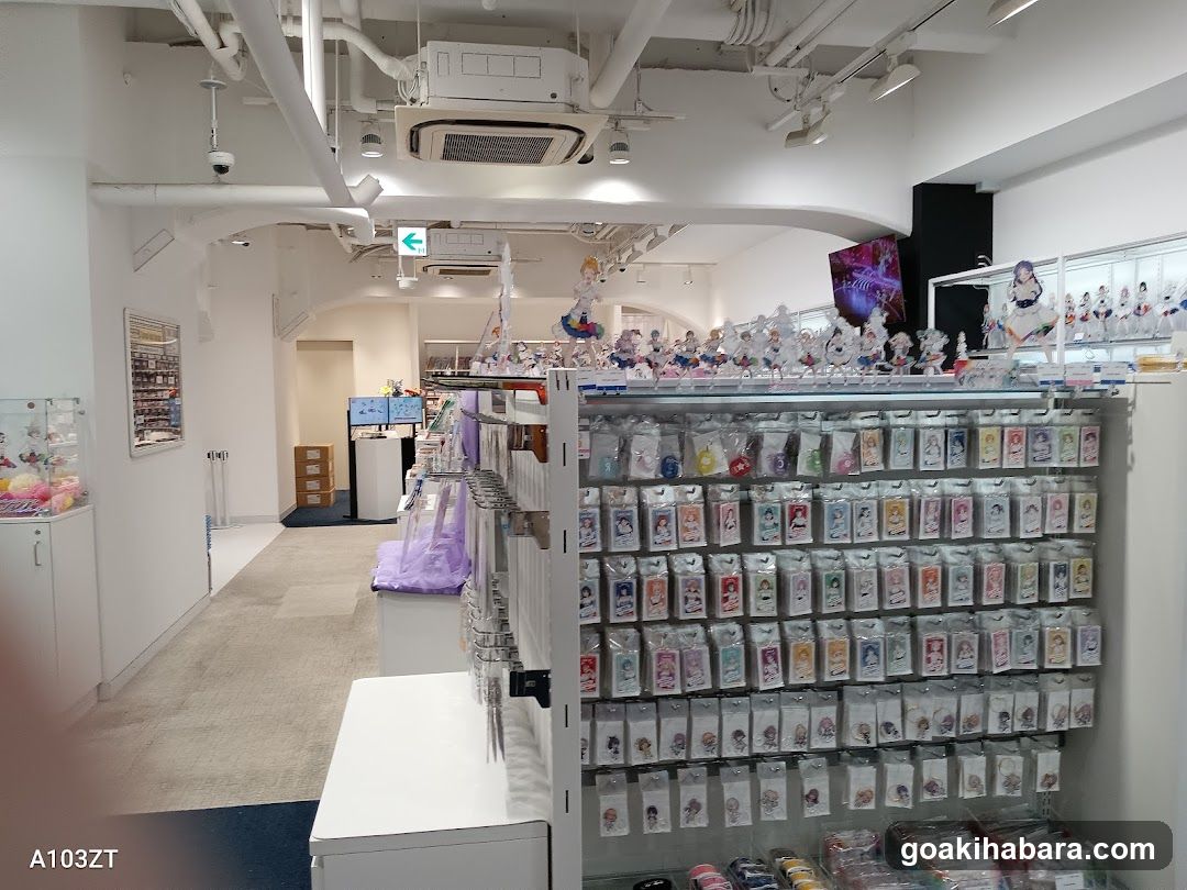 Merchandise Store Interior