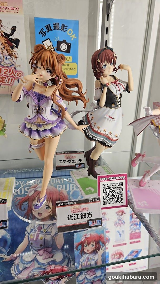 Anime Figure Display Case