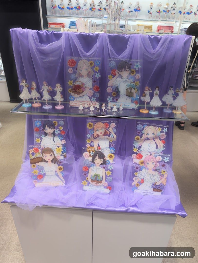 Anime Merchandise Display