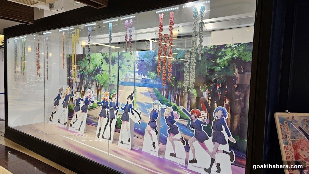 Anime Character Display Case