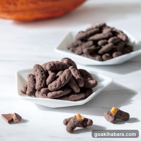 Chocolate Peanuts