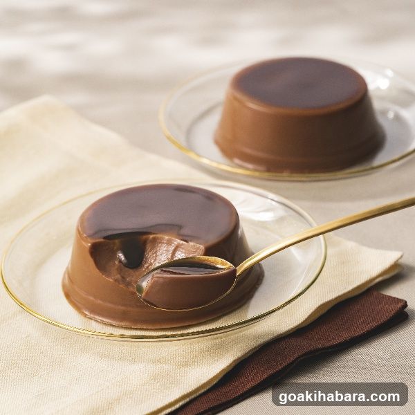 Chocolate Pudding Dessert