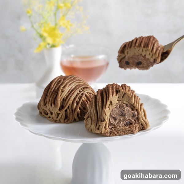 Chocolate Swirl Dessert
