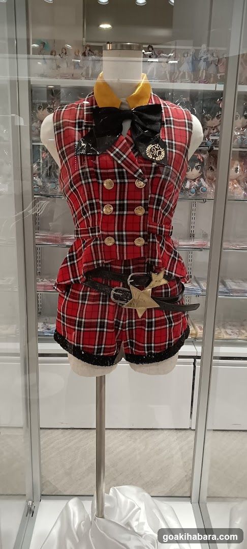 Plaid Outfit Display