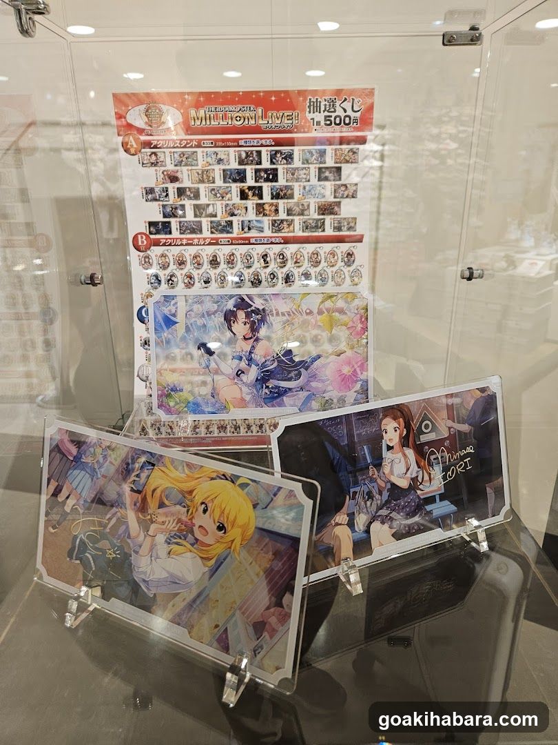 Anime Merchandise Display Case