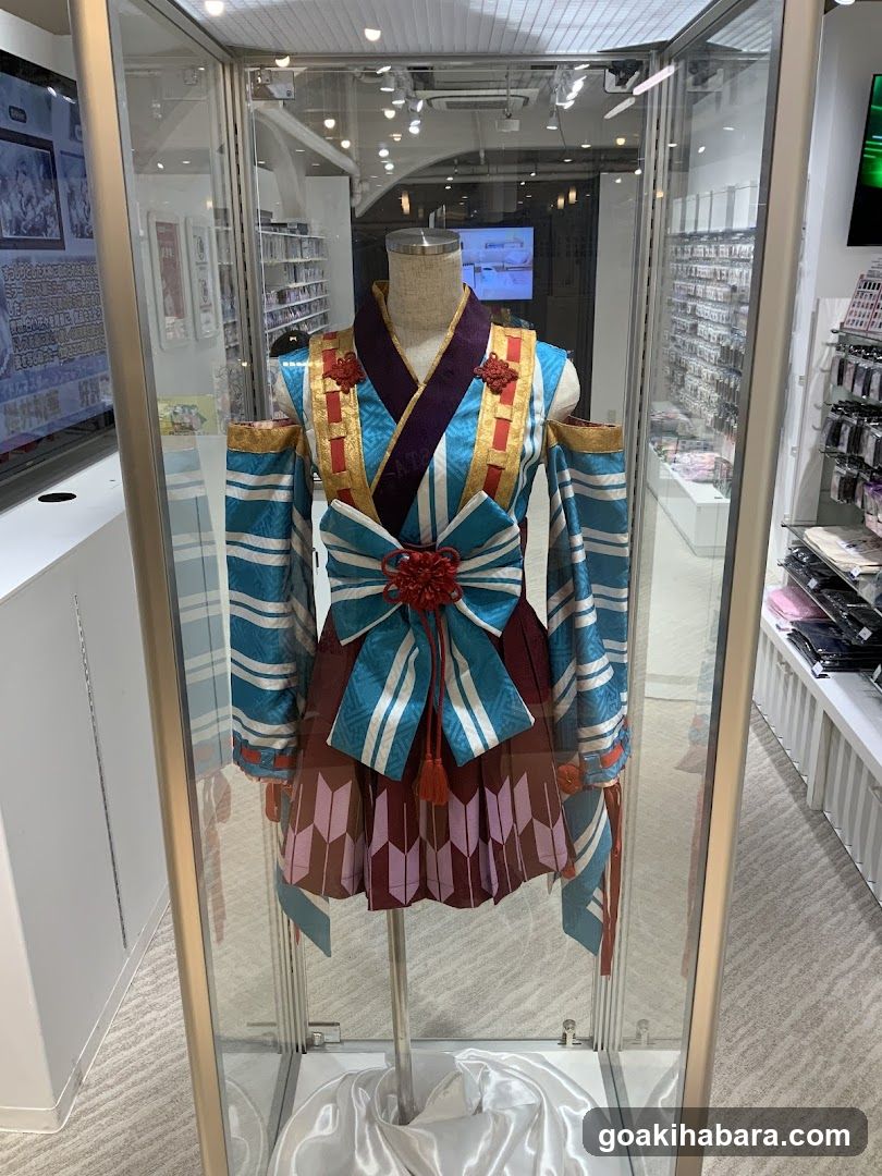 Cosplay Costume Display