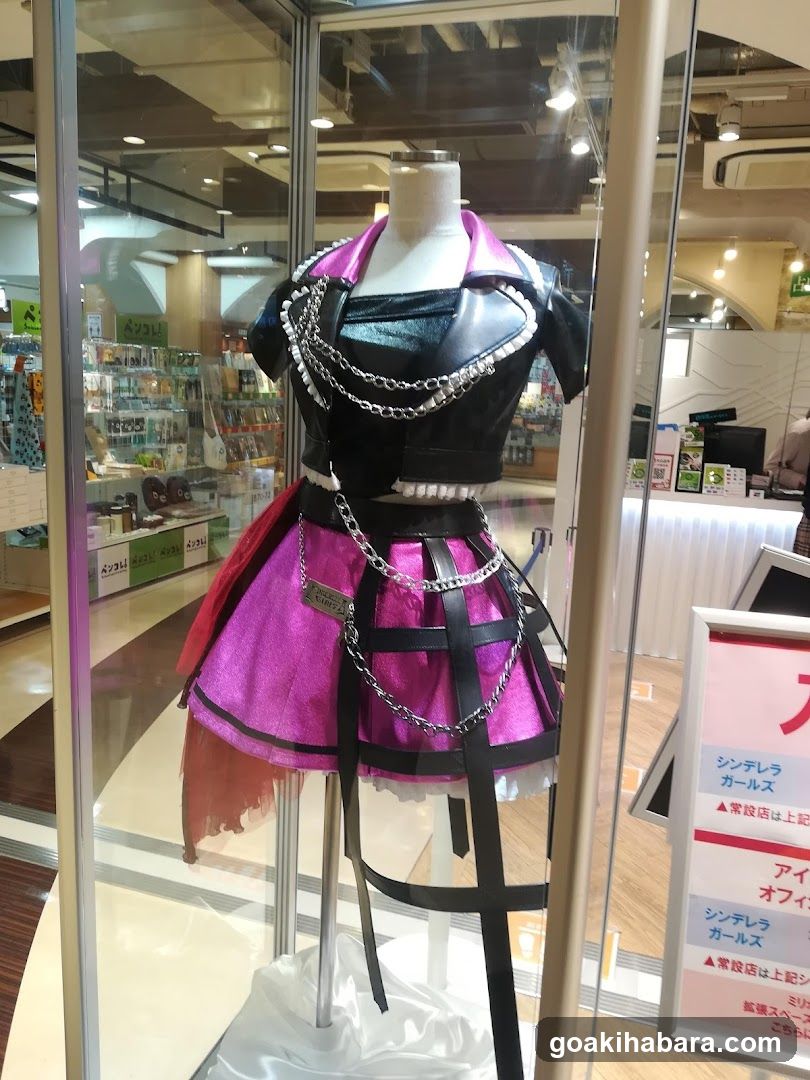 Cosplay Costume Display