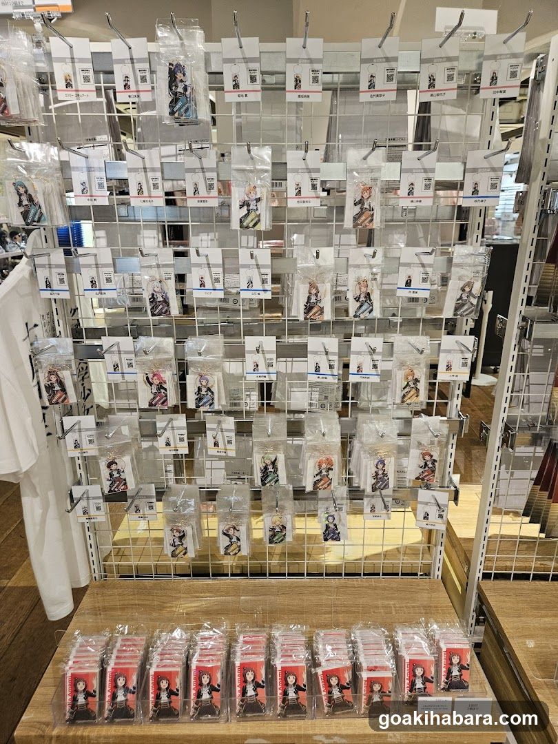 Merchandise Display
